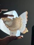 Agate Butterfly (D)