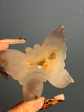 Agate Butterfly (C)