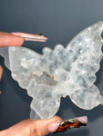Agate Butterfly (A)