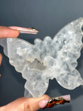 Agate Butterfly (A)