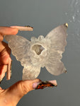 Agate Butterfly (B)