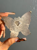 Agate Butterfly (B)
