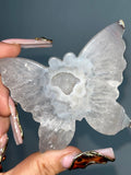 Agate Butterfly (B)