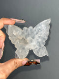 Agate Butterfly (A)