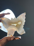 Agate Butterfly (C)