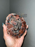 Petrified Wood Slab (1)