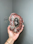 Petrified Wood Slab (2)