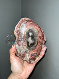 Petrified Wood Slab (2)