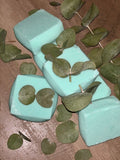 Eucalyptus/Menthol Shower Steamers