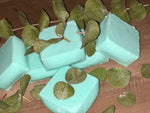 Eucalyptus/Menthol Shower Steamers