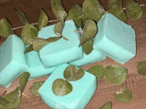 Eucalyptus/Menthol Shower Steamers