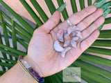 Flower Agate Mini Moon