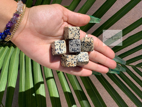 Dalmatian Jasper Cube